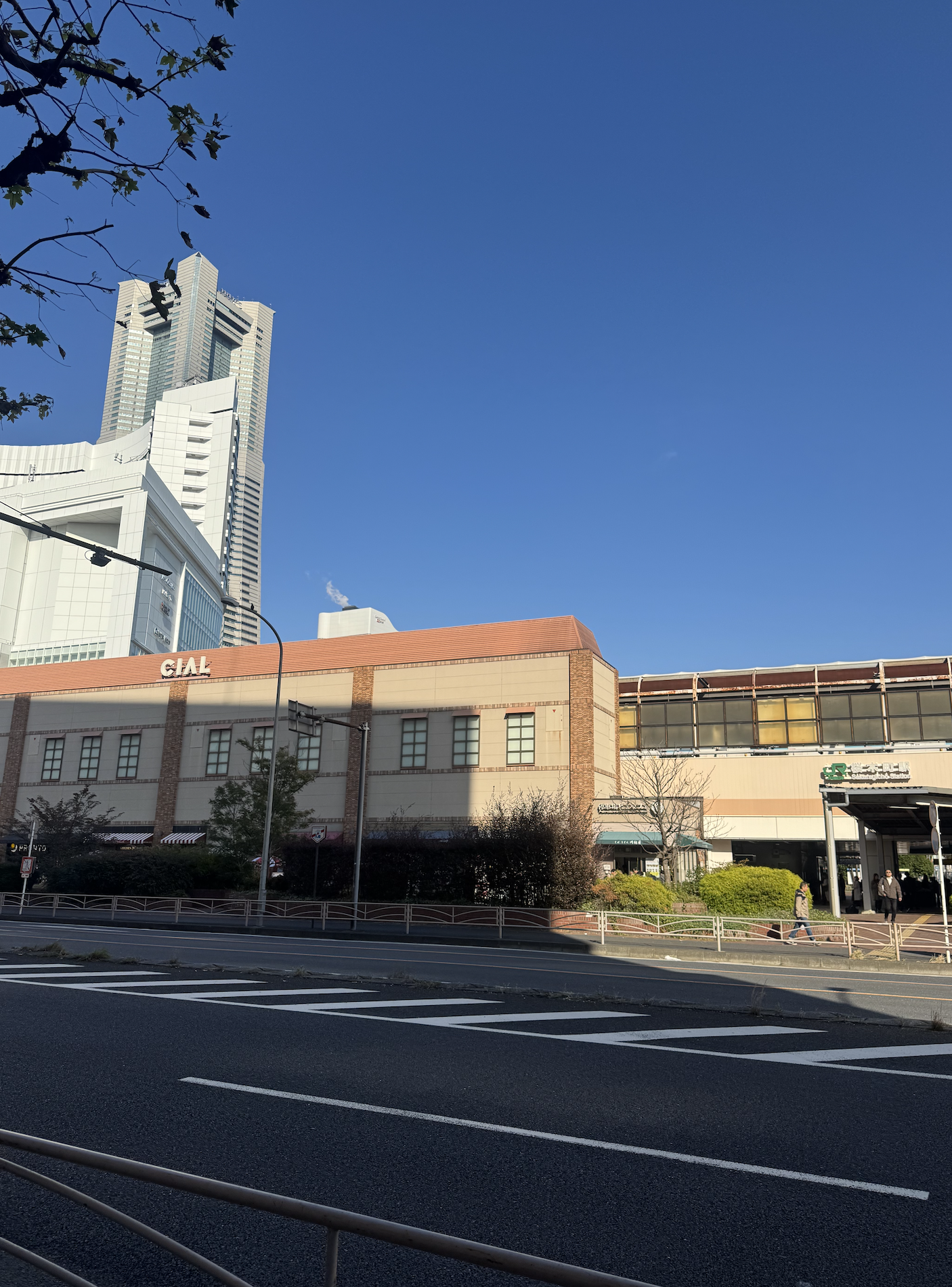 スクリーンショット 2025-11-30 20.35.54